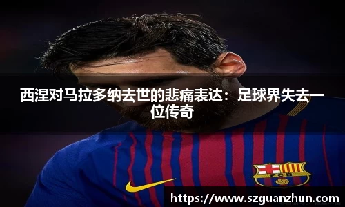 乐玩lewin国际